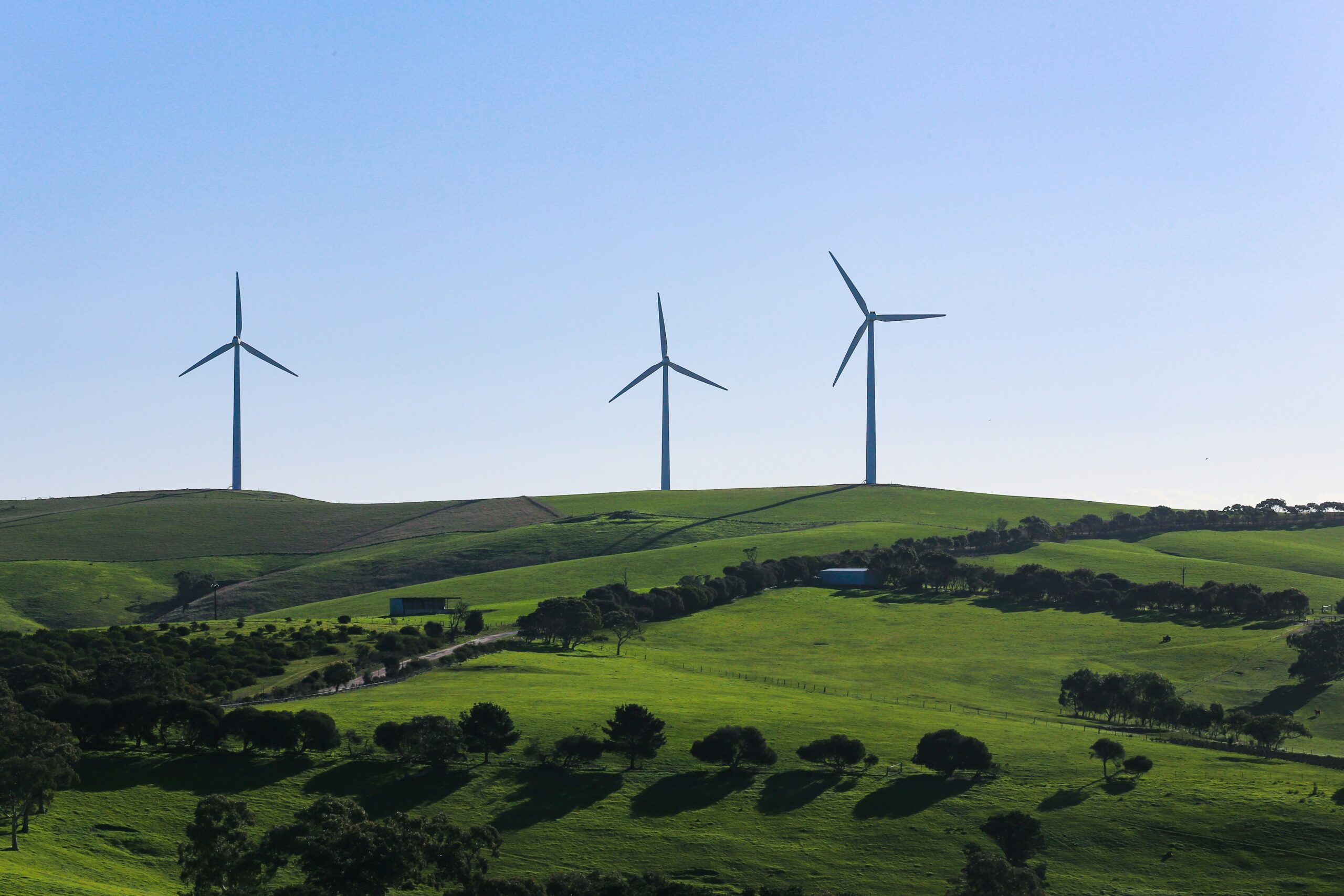 grüne Landschaft mit Windrädern